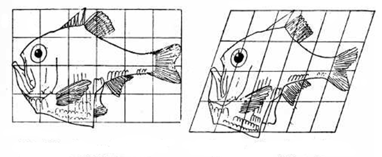 The Big Bang_5_1600x800.jpg