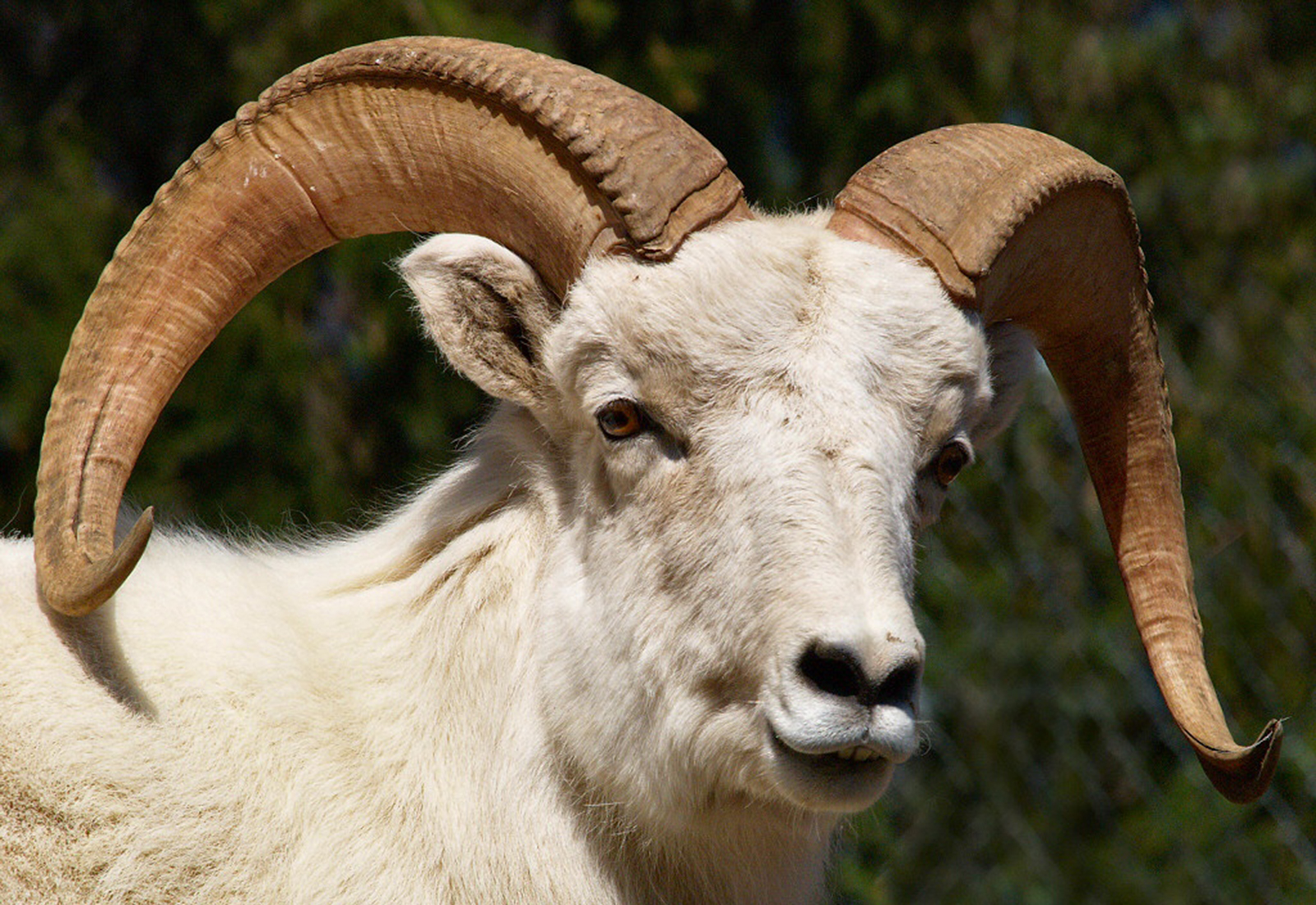 The Big Bang_6_1600x1100