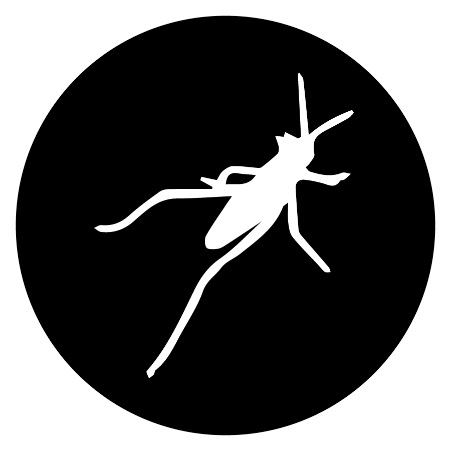 Workshop Grasshopper