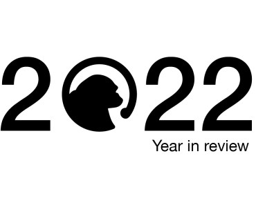 2022 year in review
