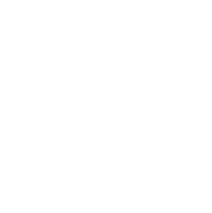 ParametricMonkey logo
